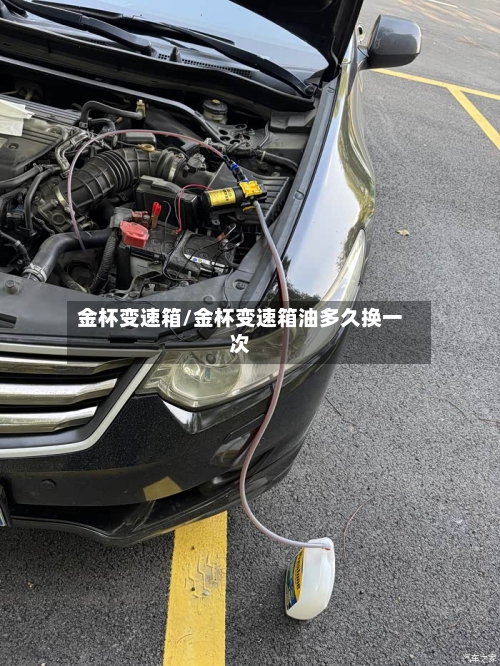 金杯变速箱/金杯变速箱油多久换一次
