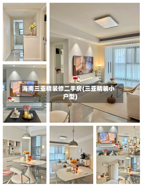 海南三亚精装修二手房(三亚精装小户型)