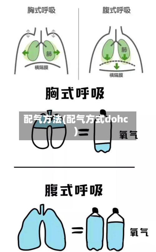 配气方法(配气方式dohc)