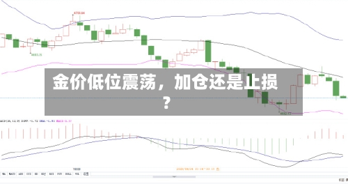 金价低位震荡，加仓还是止损？-第2张图片