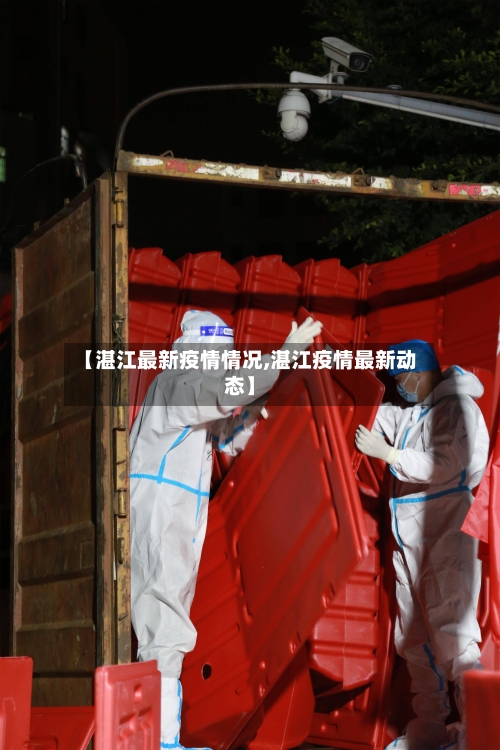 【湛江最新疫情情况,湛江疫情最新动态】-第2张图片