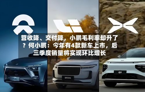 营收降、交付降，小鹏毛利率却升了？何小鹏：今年有4款新车上市	，后三季度销量将实现环比增长-第2张图片