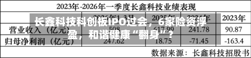 长鑫科技科创板IPO过会	，6家险资浮盈，和谐健康“翻身”？-第3张图片
