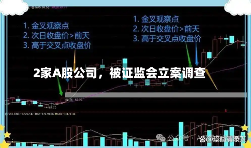 2家A股公司	，被证监会立案调查-第3张图片