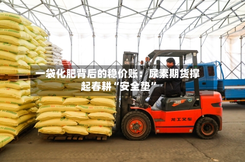 一袋化肥背后的稳价账：尿素期货撑起春耕“安全垫”-第2张图片