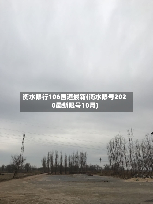 衡水限行106国道最新(衡水限号2020最新限号10月)