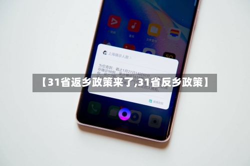 【31省返乡政策来了,31省反乡政策】-第3张图片