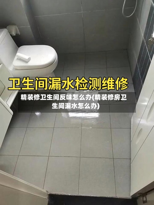精装修卫生间反味怎么办(精装修房卫生间漏水怎么办)-第3张图片
