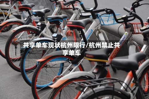 共享单车现状杭州限行/杭州禁止共享单车-第3张图片