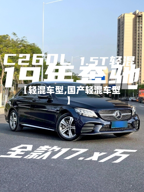 【轻混车型,国产轻混车型】-第3张图片