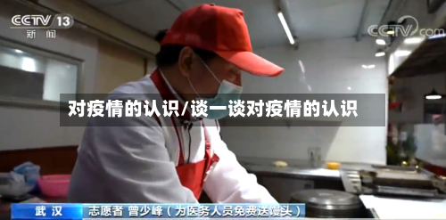 对疫情的认识/谈一谈对疫情的认识