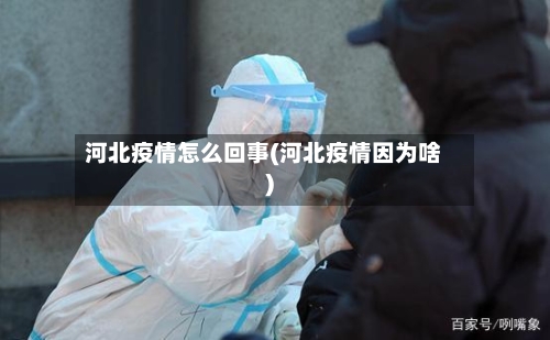 河北疫情怎么回事(河北疫情因为啥)-第2张图片