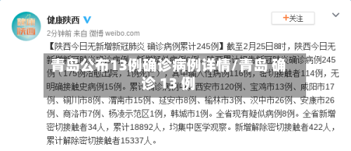 青岛公布13例确诊病例详情/青岛 确诊 13 例-第2张图片