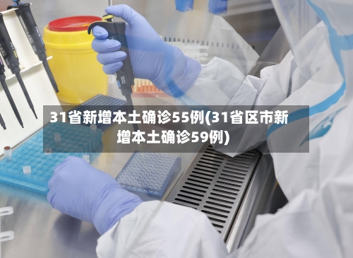 31省新增本土确诊55例(31省区市新增本土确诊59例)