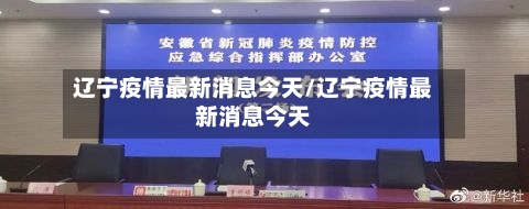 辽宁疫情最新消息今天/辽宁疫情最新消息今天-第2张图片