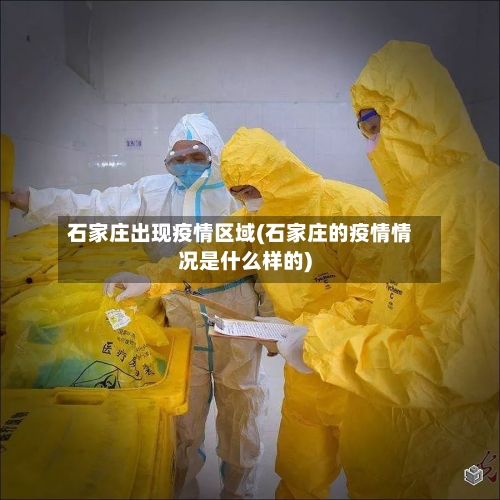 石家庄出现疫情区域(石家庄的疫情情况是什么样的)-第2张图片