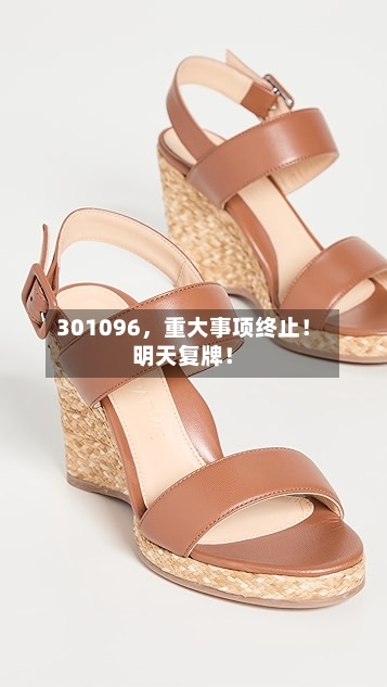 301096,重大事项终止!明天复牌!