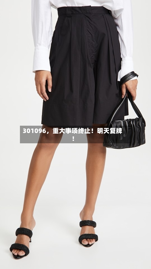 301096	，重大事项终止！明天复牌！-第3张图片