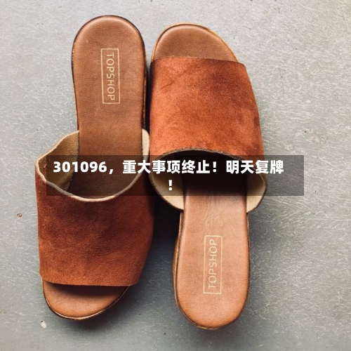 301096，重大事项终止！明天复牌！-第2张图片