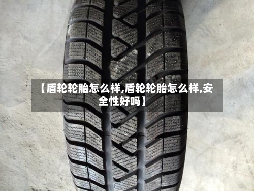 【盾轮轮胎怎么样,盾轮轮胎怎么样,安全性好吗】-第2张图片