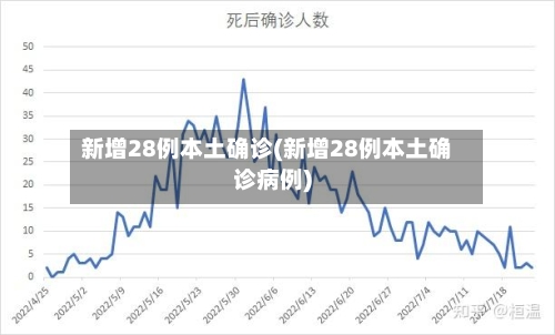 新增28例本土确诊(新增28例本土确诊病例)