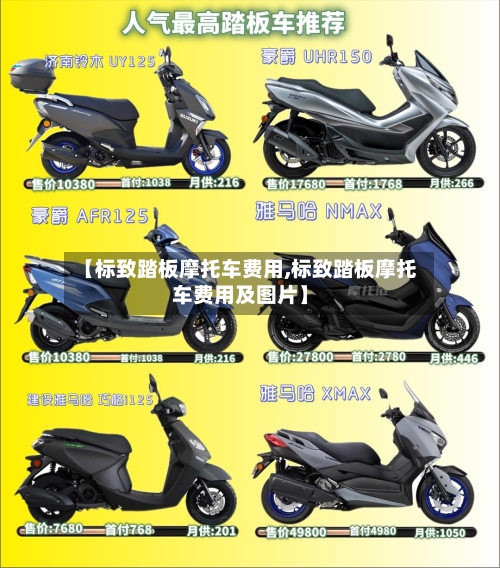 【标致踏板摩托车费用,标致踏板摩托车费用及图片】-第3张图片