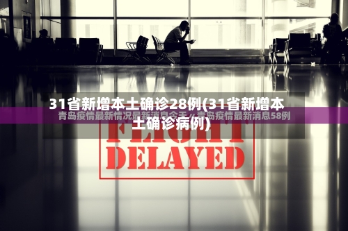 31省新增本土确诊28例(31省新增本土确诊病例)