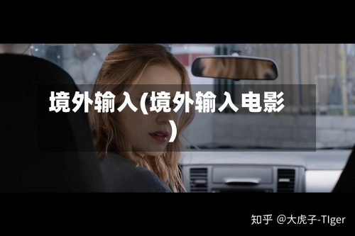 境外输入(境外输入电影)-第3张图片