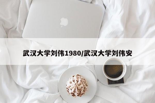武汉大学刘伟1980/武汉大学刘伟安